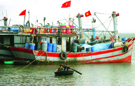 Nghịch lý mùa đánh cá: tàu nằm bờ vì thiếu hỗ trợ