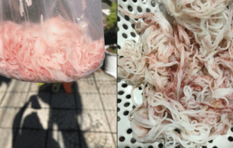 Người dân tá hỏa vì bún đổi màu đỏ bất thường