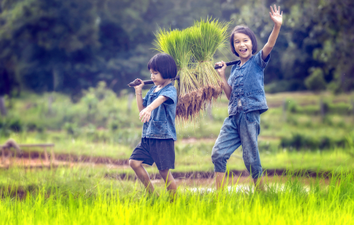Theo mẹ ra đồng làm cỏ