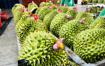 Xuất khẩu rau quả tăng đột biến
