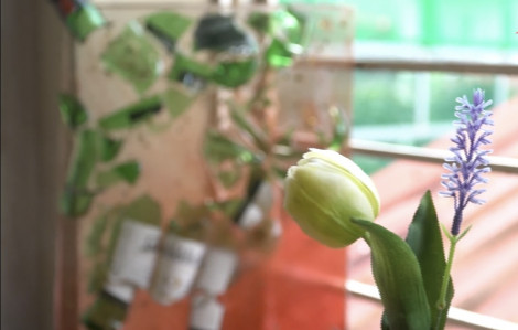 Chàng trai Gen Z biến vỏ chai thành tranh 3D độc đáo