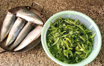 Canh chua cá nục lá me non
