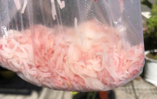 Tạm đình chỉ cơ sở sản xuất có lô bún đổi màu đỏ ở Đà Nẵng