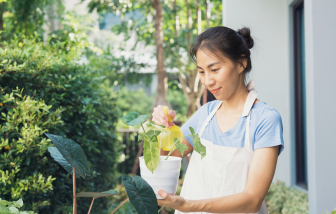 "Mệt quá thân ta này..."