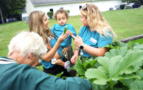 Những khu vườn đô thị đem quả ngọt đến cho cộng đồng