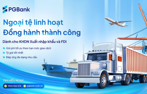 PGBank triển khai gói ưu đãi tài chính toàn diện dành cho doanh nghiệp xuất nhập khẩu và FDI