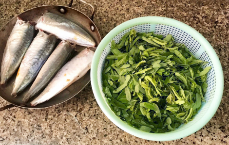 Canh chua cá nục lá me non