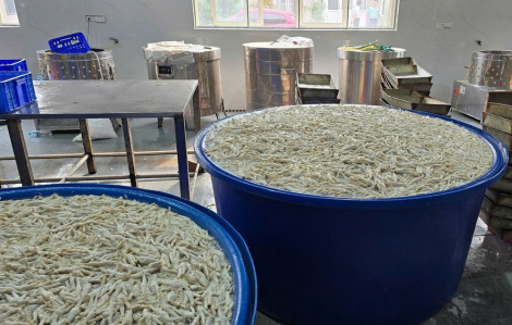 Phát hiện gần 7 tấn chân gà ngâm chất tẩy trắng chuẩn bị đưa ra thị trường