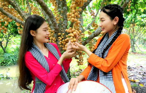 Phụ nữ tiên phong làm nông nghiệp và du lịch xanh