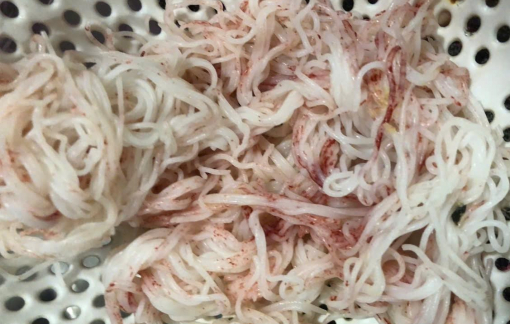 Kiểm nghiệm mẫu bún đổi màu đỏ ở Đà Nẵng ‘không phát hiện hoá chất độc hại’