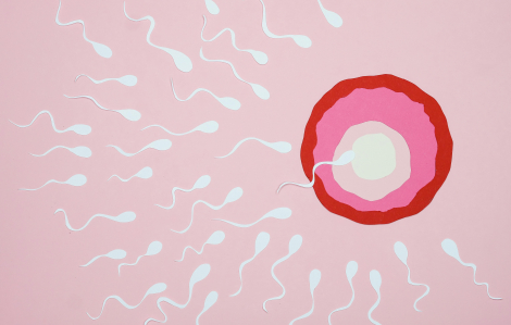 Quy định mới nhất về mang thai hộ từ tháng 10/2025