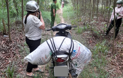 Quảng Ngãi: Phạt người phụ nữ trong vùng dịch tả heo châu Phi vứt heo chết trong rẫy