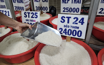 Giá giảm, xuất khẩu gạo “mất” gần 300 USD trong vòng 1 năm