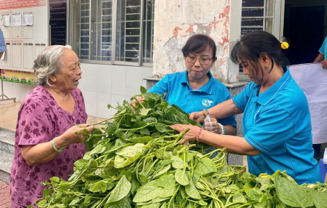 Hội LHPN phường Phú Lợi góp thêm rau xanh vào các bữa cơm gia đình