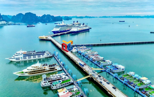 Khẩn: Tạm dừng cấp phép tàu du lịch Quảng Ninh