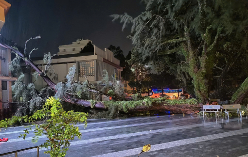 Phú Quốc: Nhà sập, cây xanh ngã la liệt do bão số 3