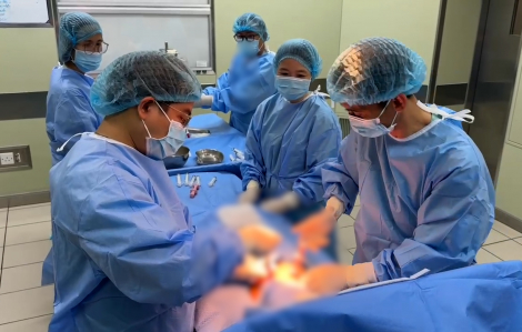 Cứu sống 4 bệnh nhi nhờ kỹ thuật ghép tủy