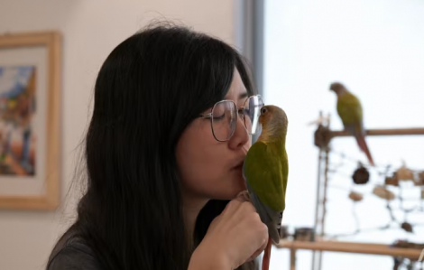 Người trẻ Singapore chi hàng ngàn đô la cho thú cưng