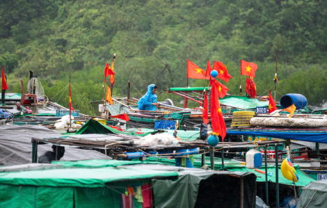 Quảng Ninh di dời 10.000 người, đưa 14.000 du khách về bờ an toàn