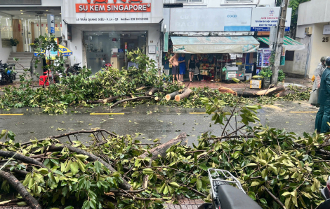 TPHCM ra văn bản khẩn ứng phó bão số 3