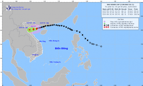 Bão số 3 đã sát Hải Phòng, Hưng Yên, nhiều nơi mưa lớn