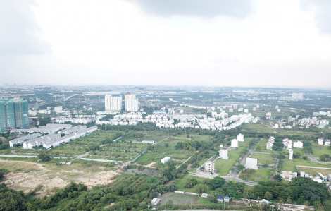 Giá đất ở thì sát thị trường nhưng giá đất nông nghiệp lại quá thấp là bất hợp lý?