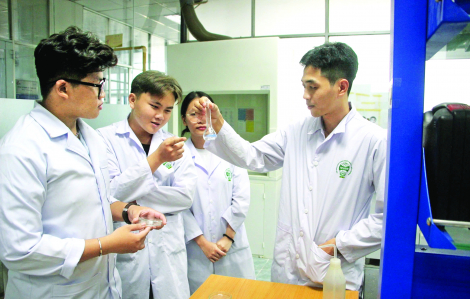 Nghịch lý: ngành cần nhân lực lại thiếu người theo học