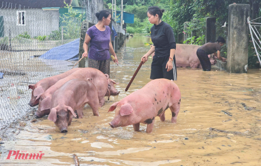Thủ tướng yêu cầu khẩn trương khắc phục hậu quả bão số 3 và mưa lũ