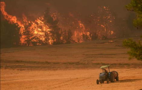 Cháy rừng nghiêm trọng ở Thổ Nhĩ Kỳ