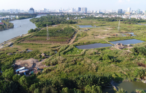 Đề xuất giảm thuế đất ở cho người dân