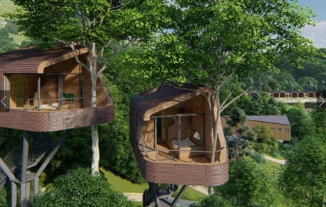 Ngủ trong rừng, ngắm sao trời từ ngôi nhà trên cây