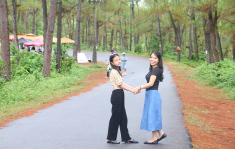 Lên đồi Thiên An - Đà Lạt thu nhỏ ở xứ Huế