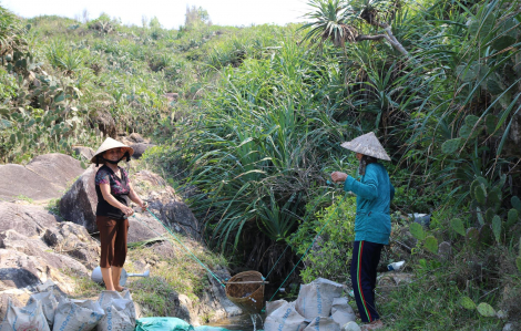 Gò Cỏ, đến một ngày là đủ để thương