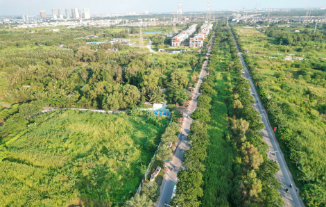 TPHCM chuẩn bị xây dựng bảng giá đất sau sáp nhập