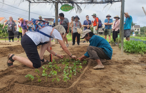 Nền tảng giúp nông dân kết nối trực tiếp với du khách thế giới đoạt giải Nhất