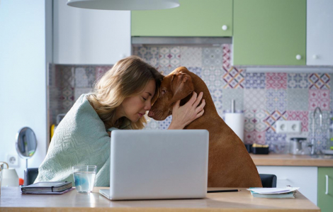 Nuôi chó giúp kiểm soát căng thẳng hiệu quả hơn