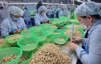Giao thương Việt Nam - EU chạm mốc gần 300 tỉ USD trong 5 năm