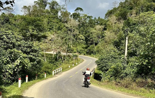 Quảng Ngãi xin trung ương 2.350 tỉ đồng nâng cấp đường đi qua đèo Violak lên Măng Đen