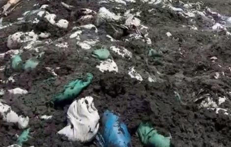 Cần Thơ: Bắt quả tang một công ty sản xuất đất sạch đang tiếp nhận hàng chục tấn chất thải công nghiệp