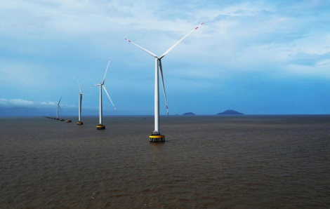 Cà Mau đặt mục tiêu trở thành trung tâm năng lượng sạch