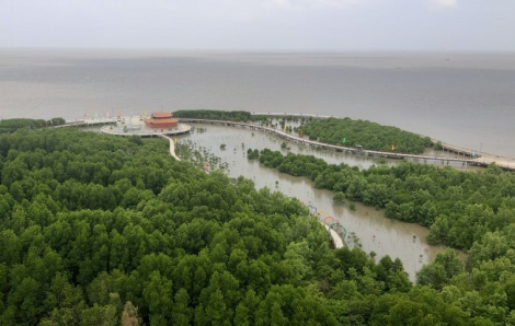 Cà Mau ước đón 8,4 triệu lượt khách, doanh thu hơn 8.585 tỉ đồng về du lịch trong năm 2025