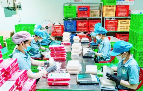 Khó xuất khẩu sản phẩm OCOP, vì sao?