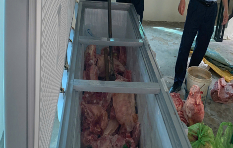 Tạm giữ 4 người thu mua heo bị dịch tả bán ra thị trường