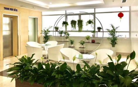 20 cơ sở y tế được bầu chọn “xanh - sạch - đẹp”