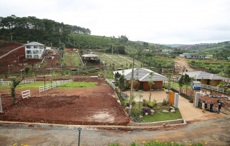 Lâm Đồng chỉ đạo công khai các dự án bất động sản, ngăn chặn đầu cơ thổi giá