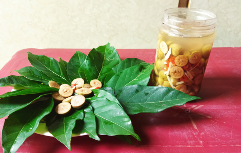 Hũ sung mẹ muối