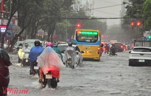 Đà Nẵng chuẩn bị ứng phó áp thấp nhiệt đới