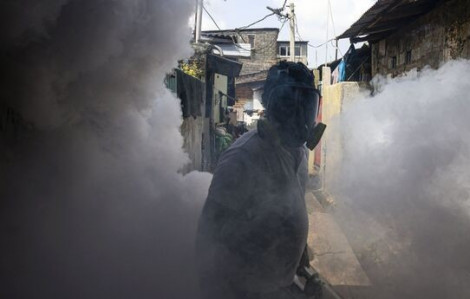 Chikungunya là bệnh gì mà khiến hàng trăm ngàn người mắc, lan rộng khắp toàn cầu?