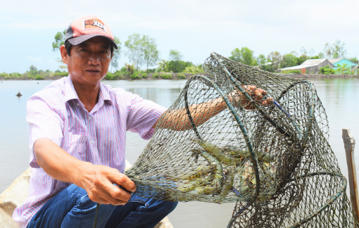 Cà Mau đầu tư hàng trăm tỉ đồng để phát triển thủy sản bền vững