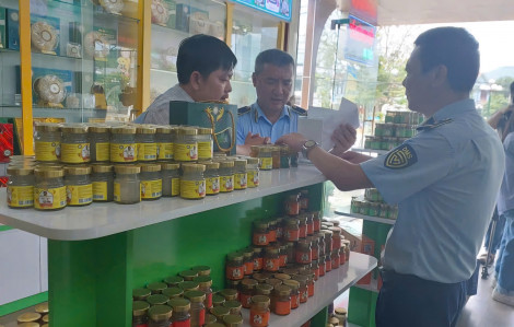 Nhiều doanh nghiệp mua phải yến sào... giả làm quà tặng